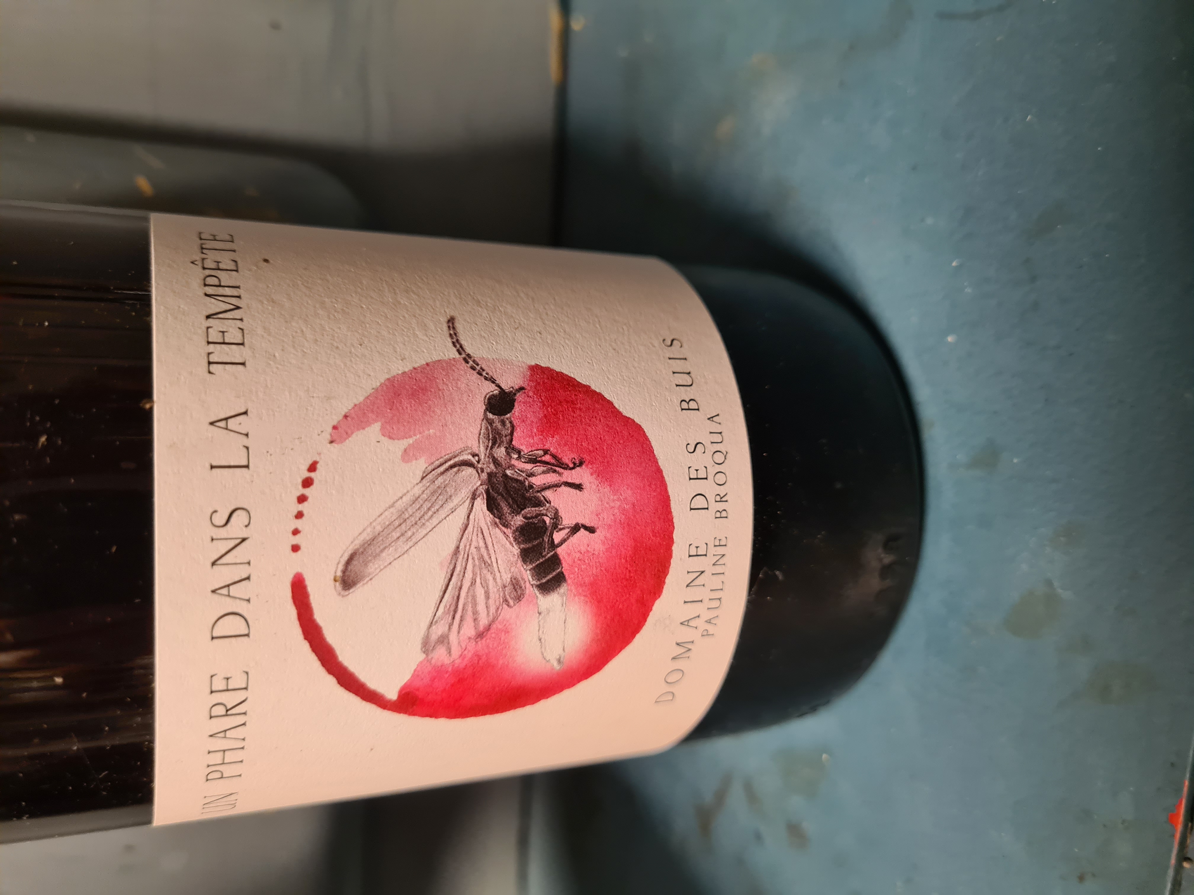 UN PHARE DANS LA TEMPETE