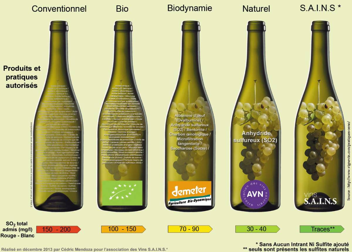 vins-sains