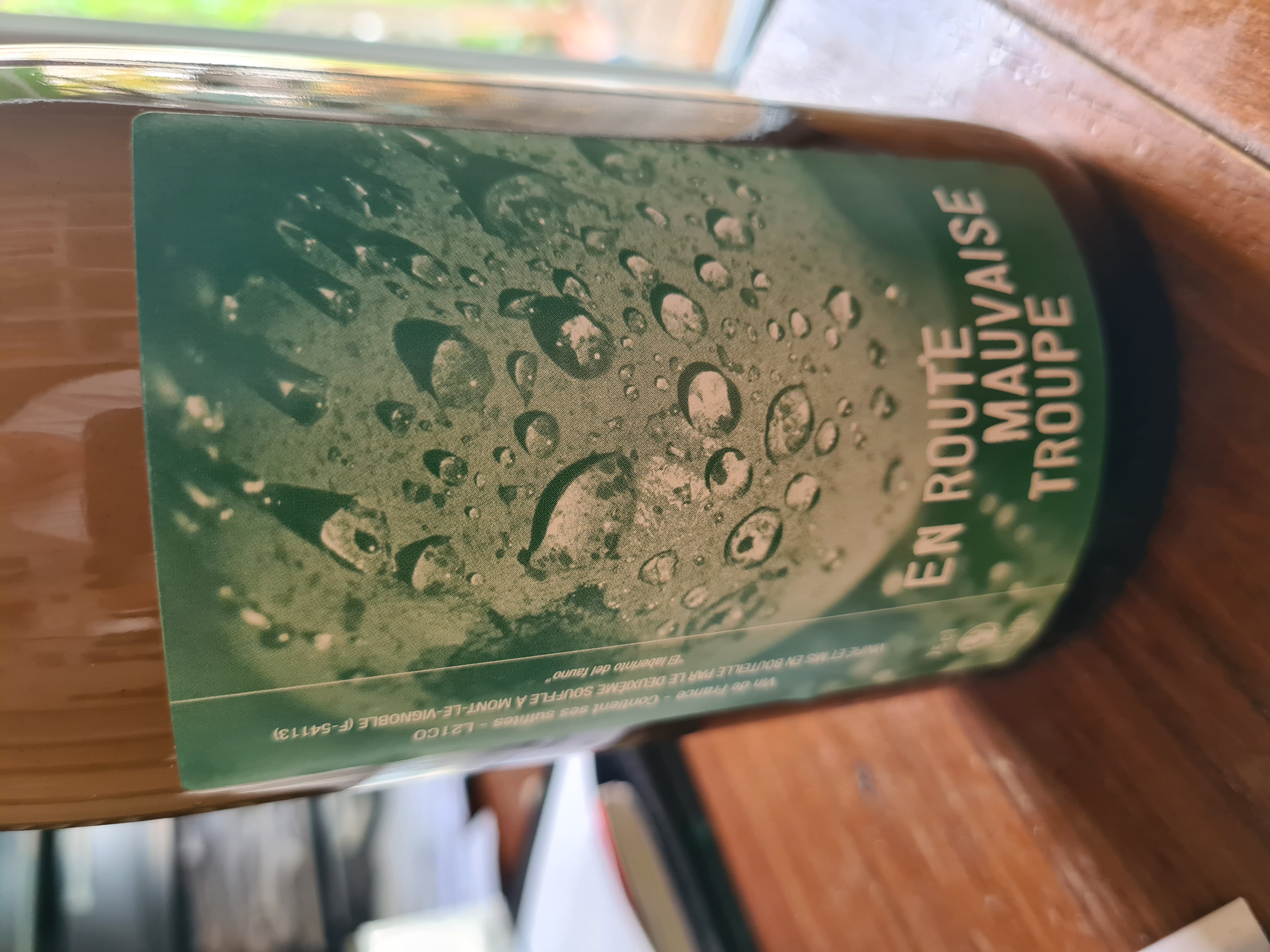 EN ROUTE MAUVAISE TROUPE